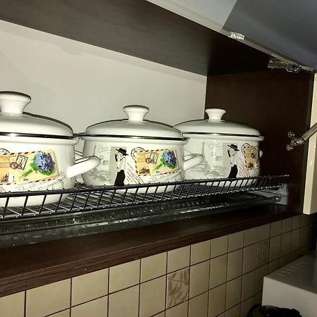 Large Apartment In The City Center Μουκάτσεβο Εξωτερικό φωτογραφία